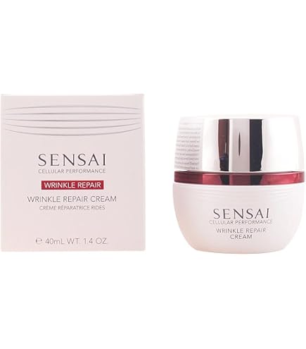 Amazon.com: Absolute Silk by SENSAI Cream 40ml : Beauty & Personal